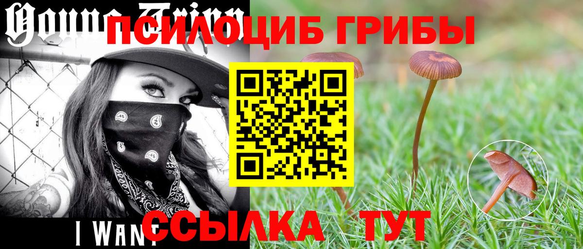 Псилоцибиновые грибы мицелий  Вход с VPN  Кыштым  Галлюциногенные грибы мицелий 